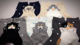 Kitty Hugs, 5 Pairs Cute Kittens Print Women Crew Socks