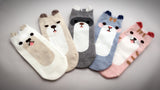 Jungle, 5 Pairs Cute Animal Print Women Ankle Socks