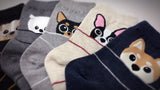 Peeking Pups, 5 Pairs Cute Dog Print Women Crew Socks