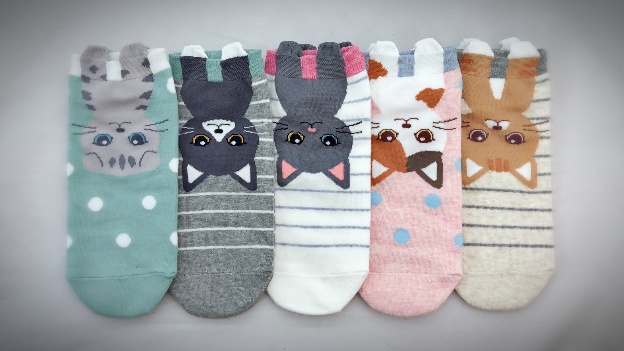 Cute socks, Fun, Quality Korean socks, Dog print No Show socks – GotYourToes