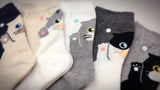 Kitty Hugs, 5 Pairs Cute Kittens Print Women Crew Socks