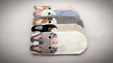 Kittens, 5 Pairs Cute Cat Print Women Ankle Socks